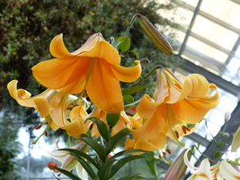 Foto: Dr. Peter Müller